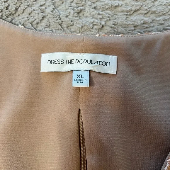 Dress The Population peach lace overlay with nude underneath top & skirt set. - Picture 6 of 9